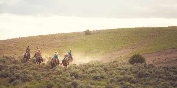 ユタ州、アメリカ合衆国では馬の牧場主 - horse panoramic scenics prairie ストックフォトと画像