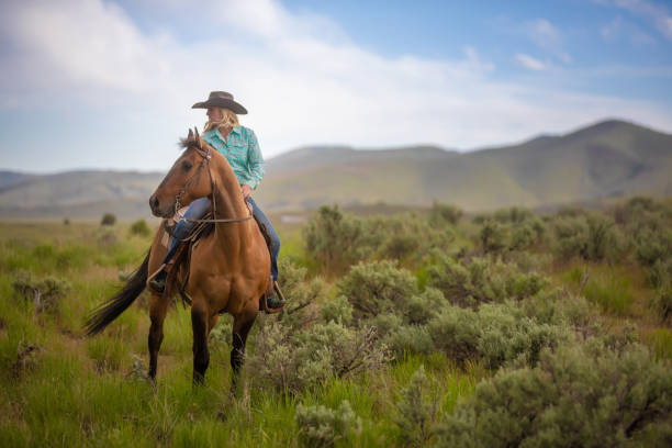 cowgirl equitazione - western usa foto e immagini stock