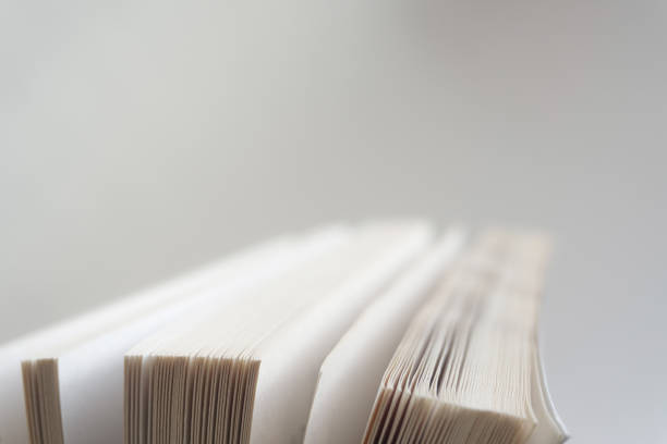 istock Open old book close up,book page 1040186210