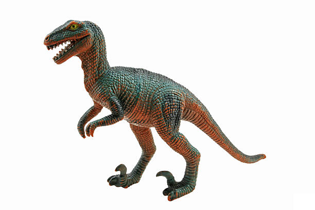 Velociraptor  raptor dinosaur stock pictures, royalty-free photos & images