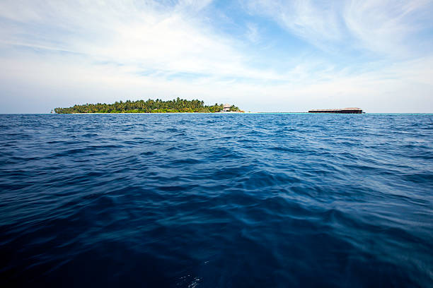 istock Tropical Island in the Ocean! 104019031
