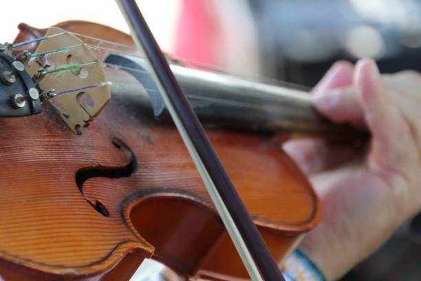istock The violin song 1040194474