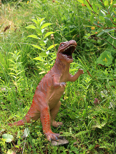 istock Tyrannosaur 104019688