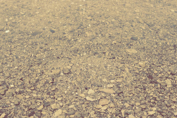 Natural abstract background of sea pebbles. Decorative textured backdrop.