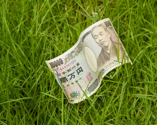 istock Japanese One thousand yen bills In grass 1040213082