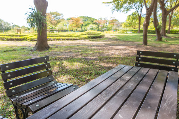 Bench and table in a shady and beautiful park
