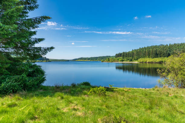 istock Alwen Reservoir, Clwyd, Wales, UK 1040231954