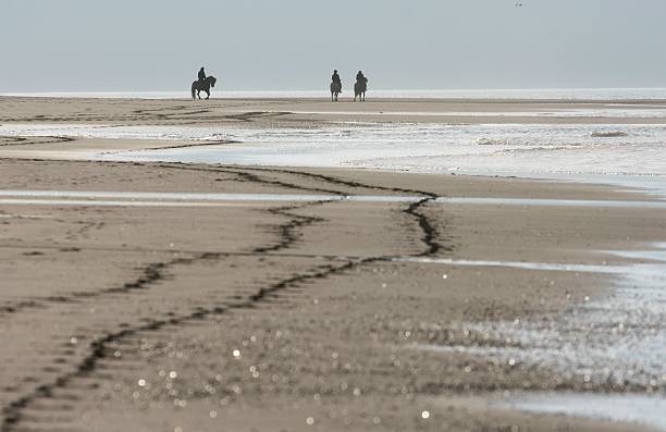 riders at a beach stock photo