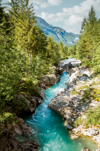 istock Idyllic nature of Slovenia 1040242142