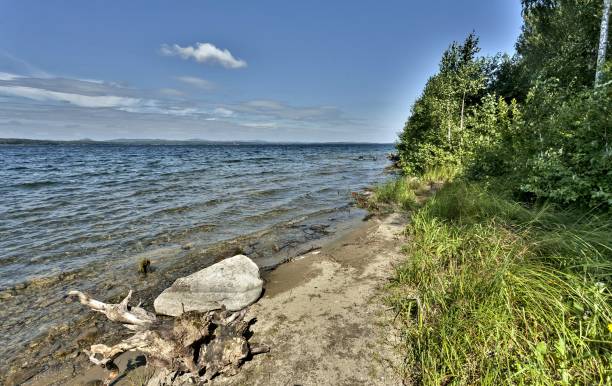 istock picturesque snag on the lake shore 1040242184