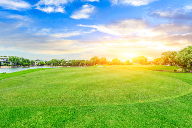 istock Green lawn and forest with sky sunset cloud landscape 1040246860