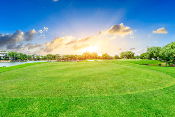 istock Green lawn and forest with sky sunset cloud landscape 1040246922