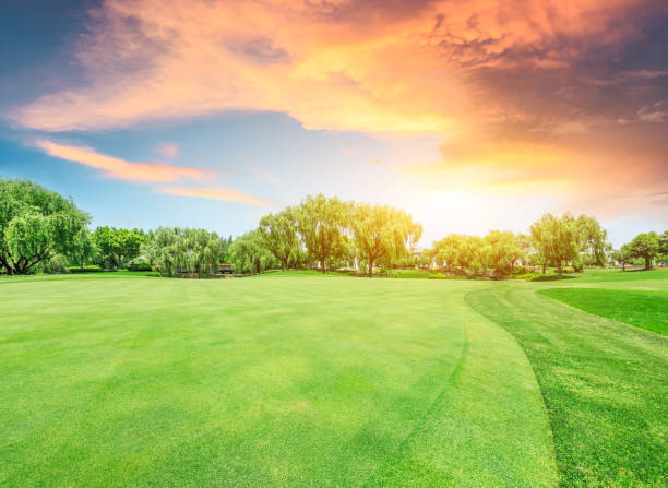 istock Green lawn and forest with sky sunset cloud landscape 1040250014