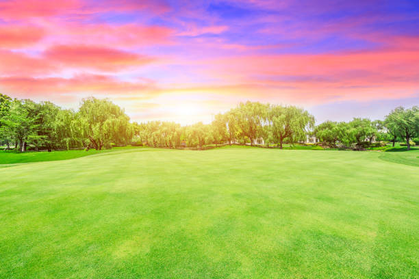istock Green lawn and forest with sky sunset cloud landscape 1040250024