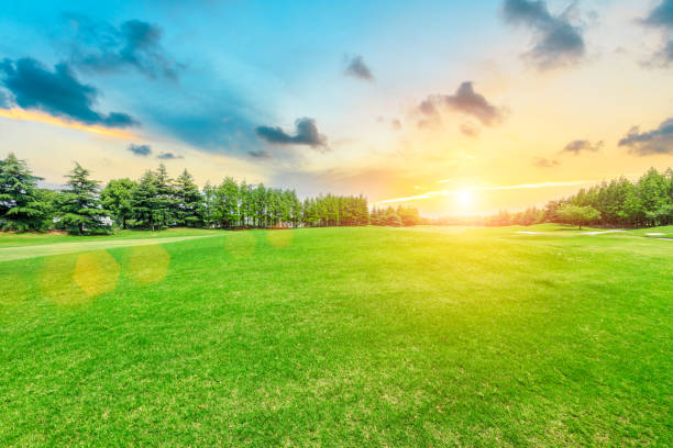 istock Green lawn and forest with sky sunset cloud landscape 1040250752