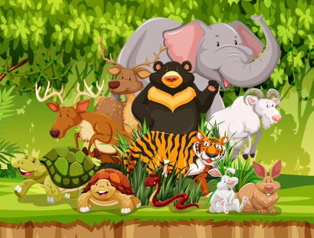 Wild animals in the forest Wild animals in the forest illustration wood turtle stock illustrations