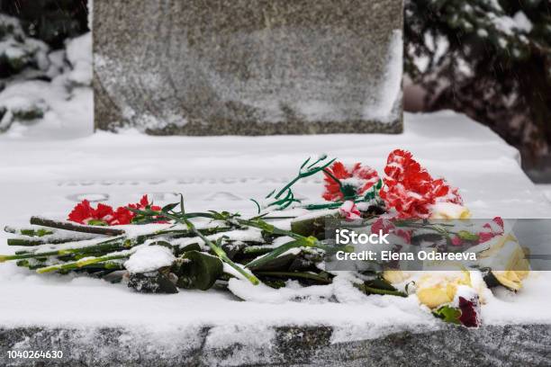 Flower On Grave Of Josef Stalin In Front Of The Kremlin Wall Kremlin Wall Necropolis In Winter In Moscow Russia Stock Photo - Download Image Now