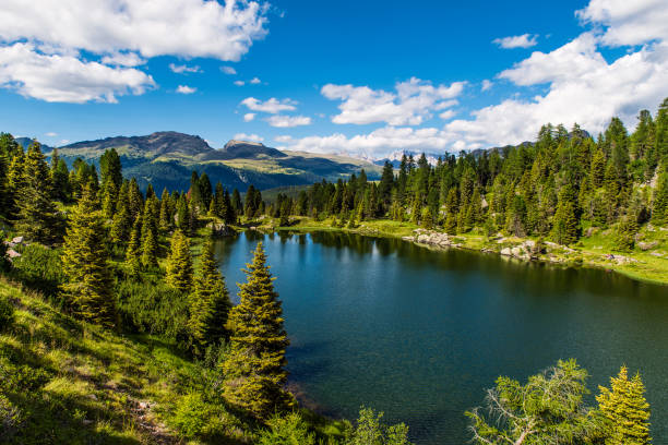 istock Gorgeous lakescape and woods in North Italy 1040271476