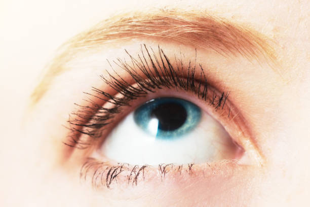 istock Redhead's blue eye looking up in close-up 1040294808