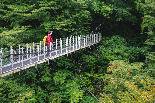 Mid adult man enjoying the view from a suspension bridge while hiking in a forest