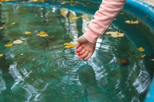 istock Hands in cupped form getting water from a lake or fountain 1040300522