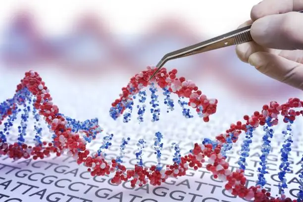 Photo of Genetic engineering, GMO and Gene manipulation concept. Hand is inserting sequence of DNA.  3D illustration of DNA.