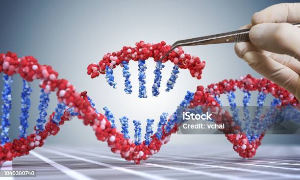 Concepto De Manipulación Genética Transgénicos Y Gen Mano Está Insertando La Secuencia De Adn Ilustración 3d Del Adn Foto de stock y más banco de imágenes de ADN