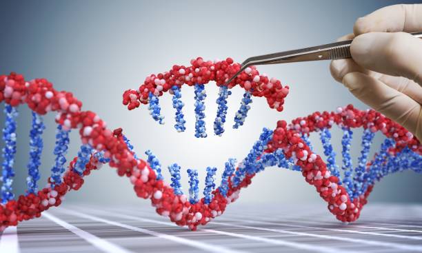 Genetic engineering, GMO and Gene manipulation concept. Hand is inserting sequence of DNA.  3D illustration of DNA. stock photo