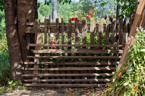 istock Fence, one tree and flowers on the country side 1040302876