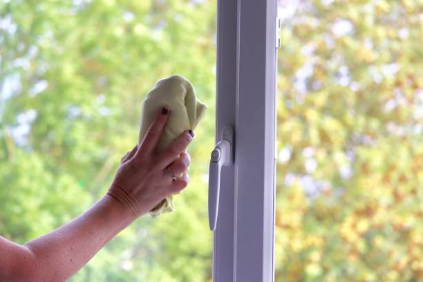 istock Cleaning windows in the home with liquid and cloth 1040302968