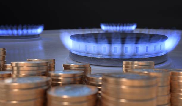 flame from gas burner and money in front. 3d rendered illustration. - natural gas gas burner flame imagens e fotografias de stock