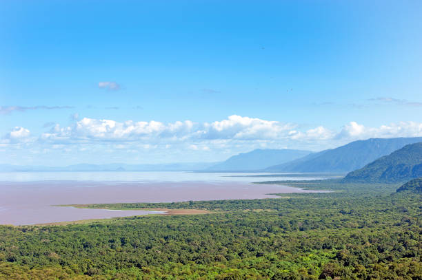 호수 manyara, ngorongoro 보존 지역, 탄자니아 - lake manyara national park 뉴스 사진 이미지