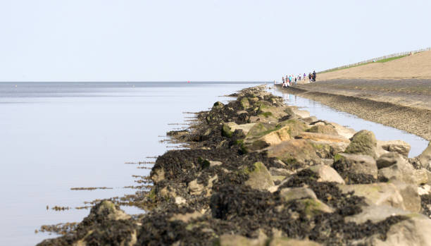 istock Dike in the Netherlands - Waddensea 1040309362