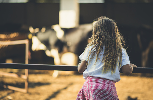 Little girl farmer. Little girl on farm watching on animal. Close up. Copy space.