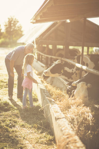istock Give love to animals. 1040319598