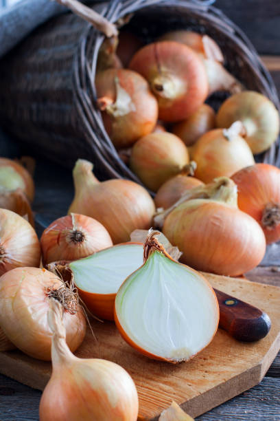 istock Large onion harvest in a wicker basket. Bulb onion is rich in vitamins, useful spring. Onion peel on a wooden background. Large onions can be seen from above. 1040320070