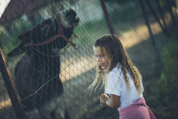 istock Animals are children's friends. 1040321366
