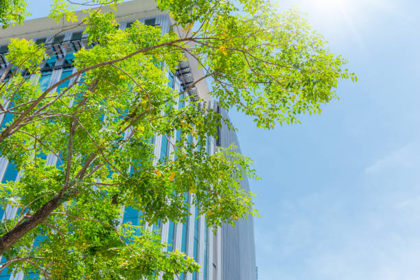istock green city eco office building good environment green tree blue clear sky. 1040325402