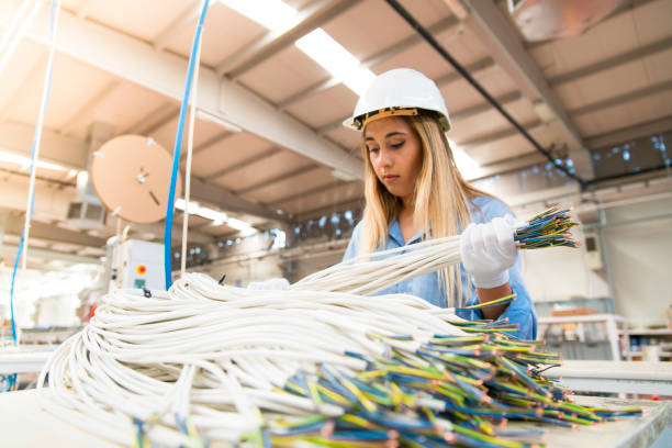 istock Young Woman Working at Factory 1040325840