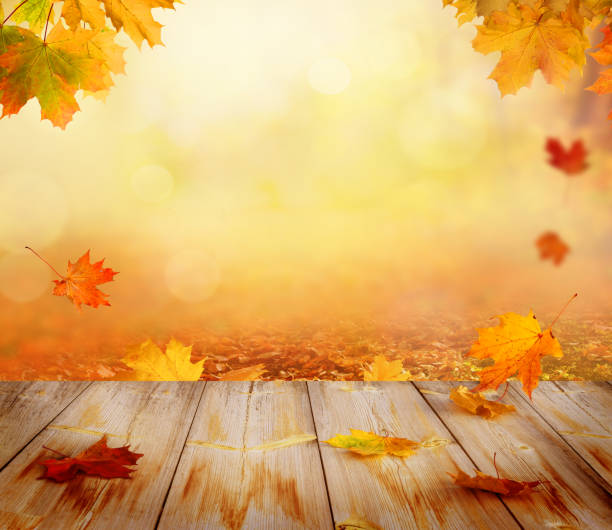istock Autumn maple leaves on wooden  table.Falling leaves natural background. 1040341274