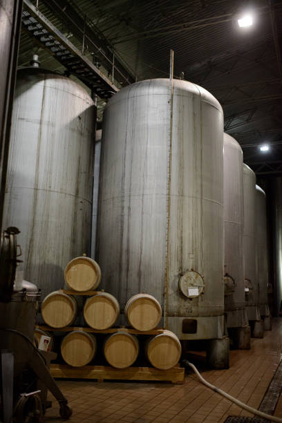 istock New large tanks for the fermentation in modern wine factory. 1040353086