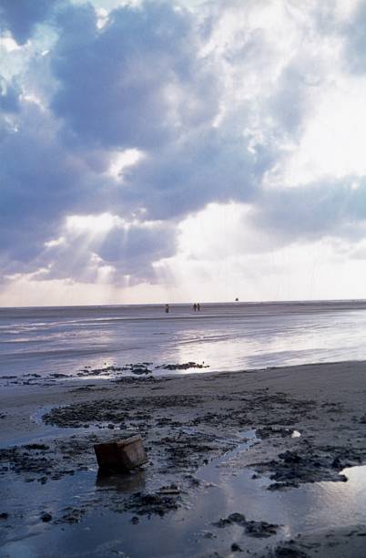 istock Wadden Sea, North Sea beach 1040364728