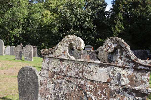 istock Blank old gravestones tombstones with copy space in old cemetery graveyard 1040372782