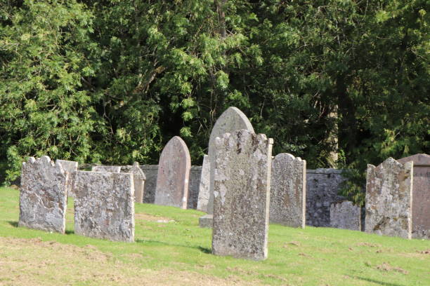 istock Blank old gravestones tombstones with copy space in old cemetery graveyard 1040372786