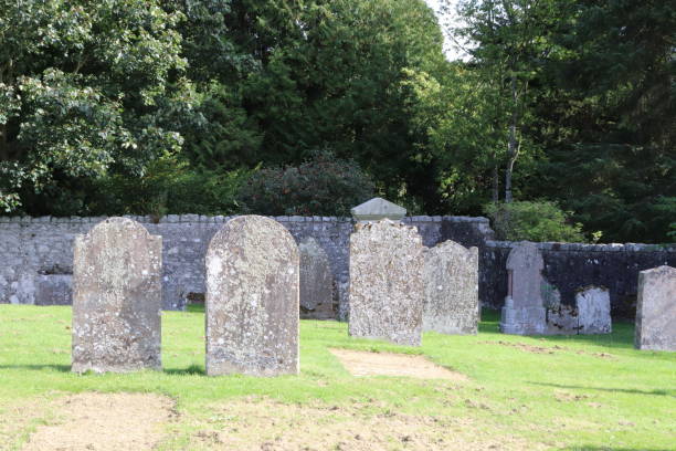 istock Blank old gravestones tombstones with copy space in old cemetery graveyard 1040372802