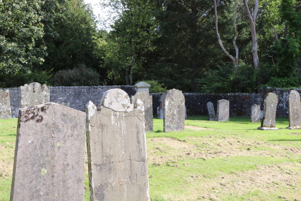 istock Blank old gravestones tombstones with copy space in old cemetery graveyard 1040372804