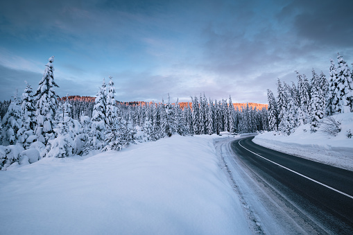 Winter Road At Sunrise