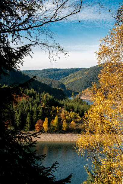 istock Oratalsperre near Oberhof 1040379482