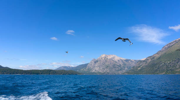 istock Nahuel Huapi Lake in Bariloche 1040386214