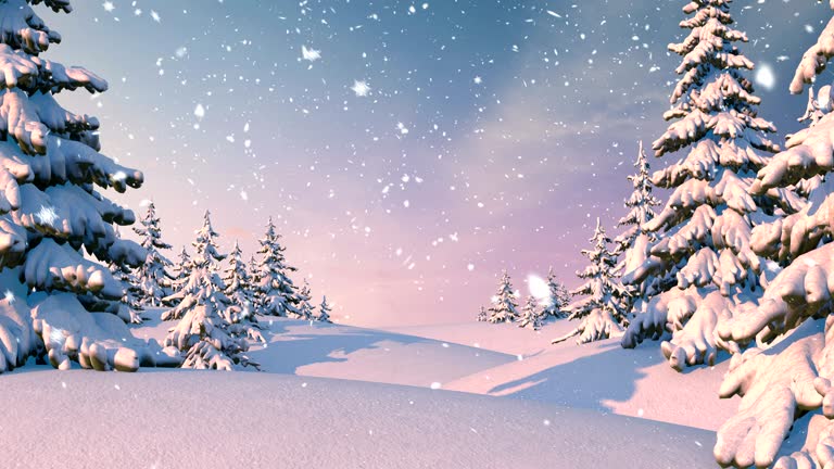 Winter Forest, Christmas Background